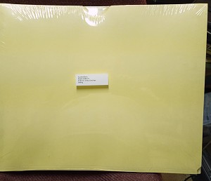 These heavy duty enclosures for 11x17 items are 10 pt buffered and feature a thumb cut top and expanding bottom for full protection and filing of thicker items safely. 